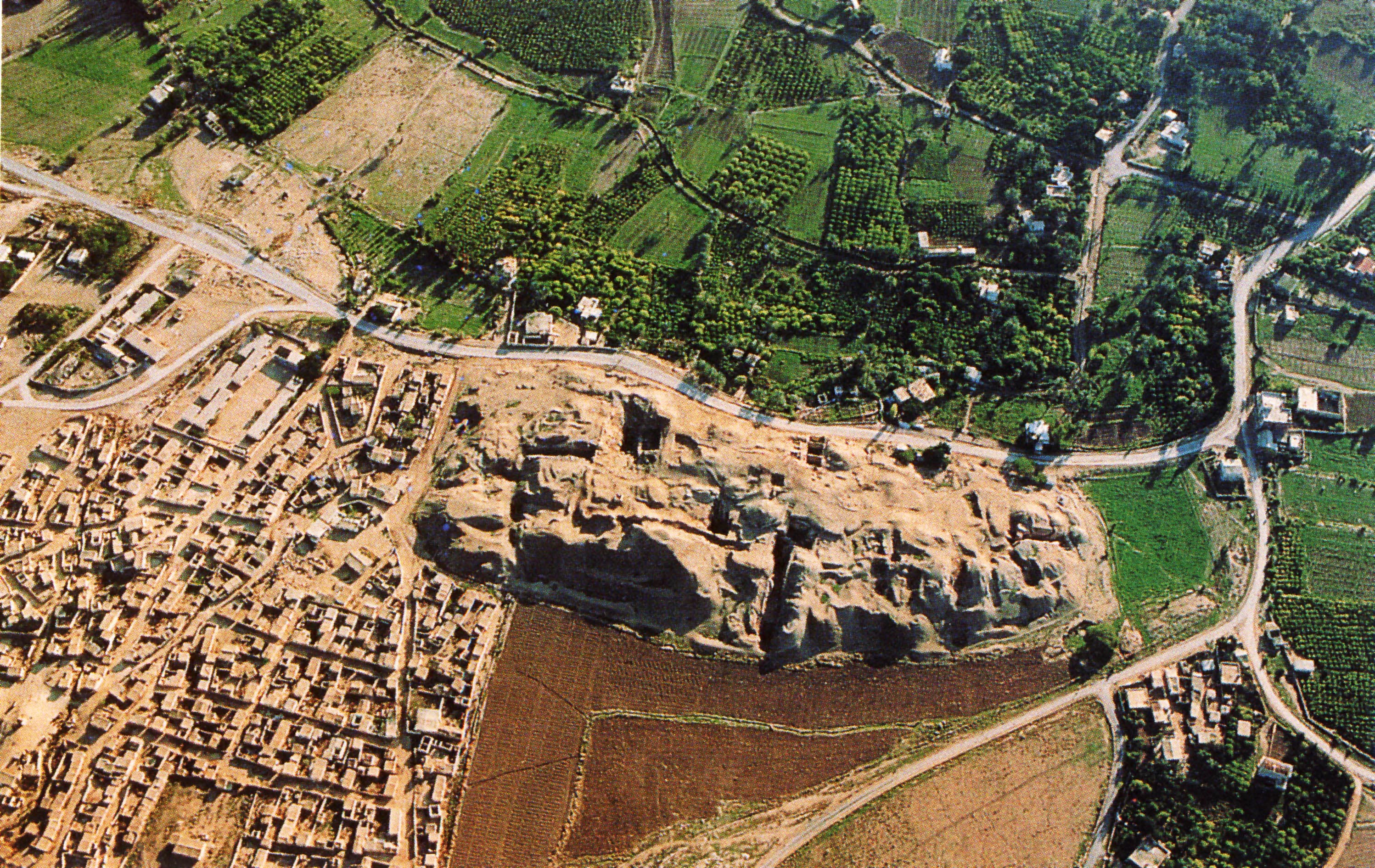 Aerial view of the archaeological area of Jericho, specifically showing Tell es-Sultan. The top and right parts of the image show trees, green crop fields, and other vegetation. On the bottom left of the image, you can see houses and other structures which are brown. White buildi