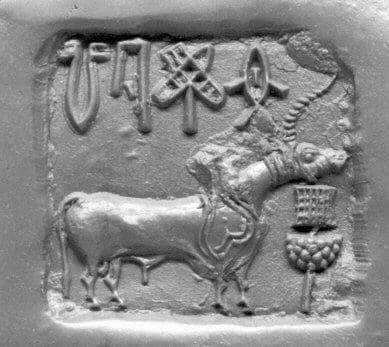 Indus Valley stamp seal with script (Met Open Access CC0) — literal seal corpus, not a decipherment claim